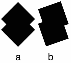  (a)   (b) 