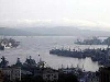 - Приморский край. Стартовал конкурс "Торговая марка года".