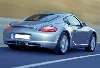 - Porsche опекает крокодилов
