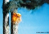 - "9/11" для природы