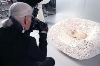 Креативная реклама - В рекламе косметики снялась кошка Лагерфельда