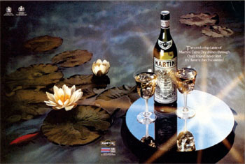  - The cool crisp taste of Martini Extra Dry shines through. Once found, never 
lost. Its there to be discovered.