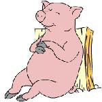 Финансы - В Китае запрещены все ролики с изображением свиньи