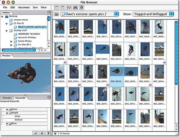 Рис. 2. Выбор изображения из библиотеки в окне File Browser