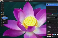  -   Apple  Pixelmator?