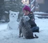 Новости Видео Рекламы - Что коту для счастья надо? Новогодний ролик Whiskas