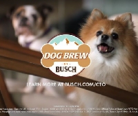 Новости Видео Рекламы - В США даже собаки могут зарабатывать по $20 тысяч