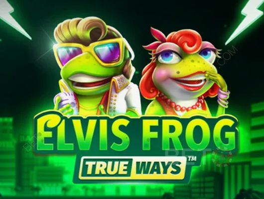 Исследования - Чего достиг BGaming за 8 лет работы?