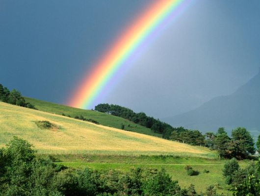 �������� ��������� - ��� Apple ����� ��������� ��������� �� ������� ������?