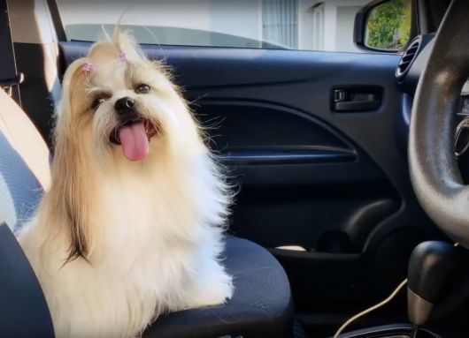 ������� ����� ������� - ��� ���������� �������� � ������?