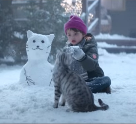 Новости Видео Рекламы - Что коту для счастья надо? Новогодний ролик Whiskas