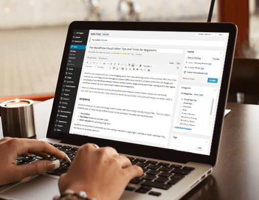 Интернет Маркетинг - SEO продвижение сайта WordPress: ключ к успеху в поисковой выдаче