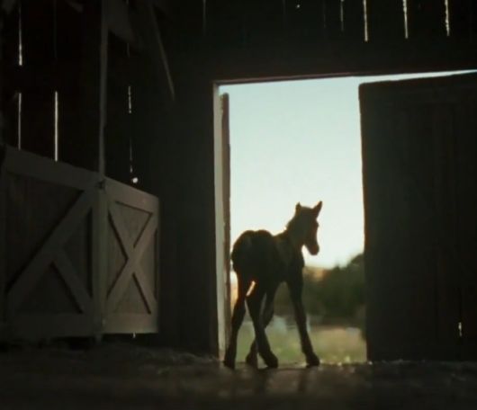 ������ � ������� - ��� ������� ��������� ������� ���������� ����������?