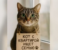  -     ?