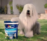 ������� - ������ ����� ��������� � �����?